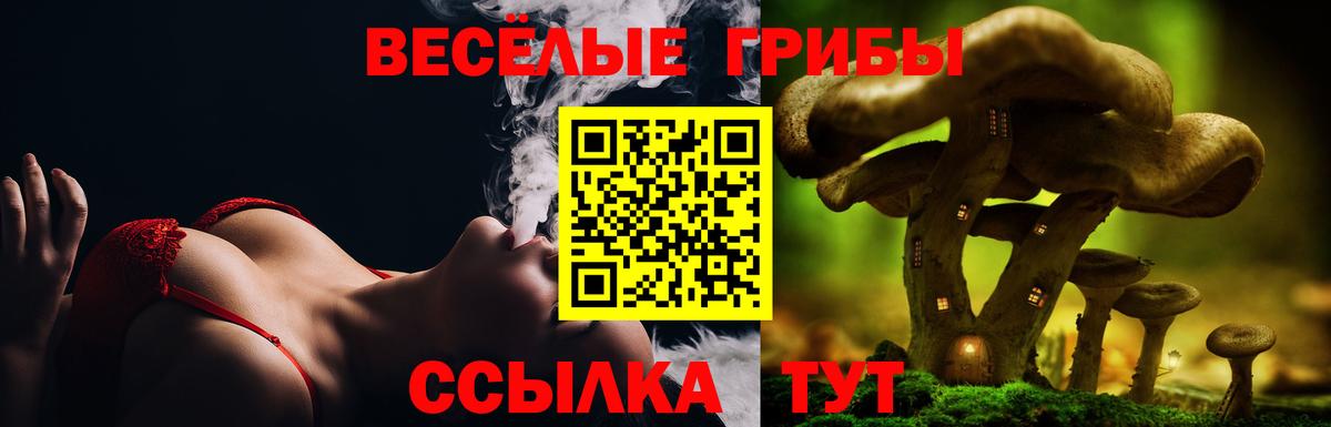 Галлюциногенные грибы мицелий  Вход с VPN  Туймазы 